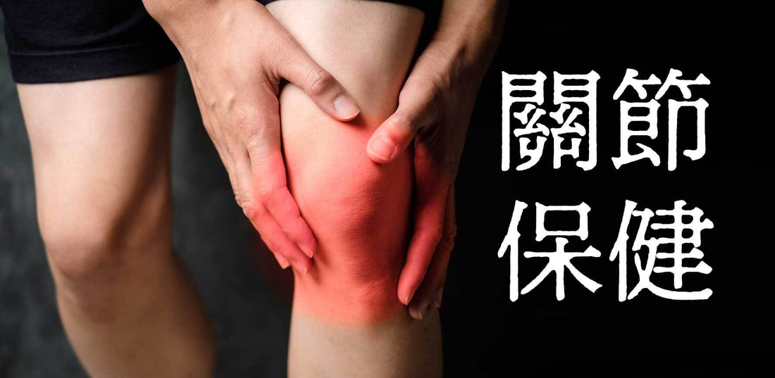 日本人追捧的關節保健奧秘:葡萄糖胺與軟骨素的驚人力量【日本關節保健秘笈】