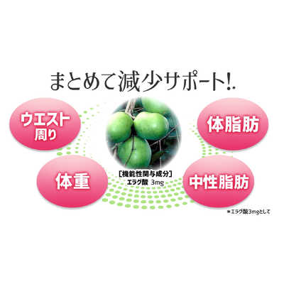 DHC 瘦腰丸 內脂丸 20日量