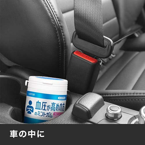 Lotte樂天 XYLITOL 口香糖 木糖醇 多口味 季節限定