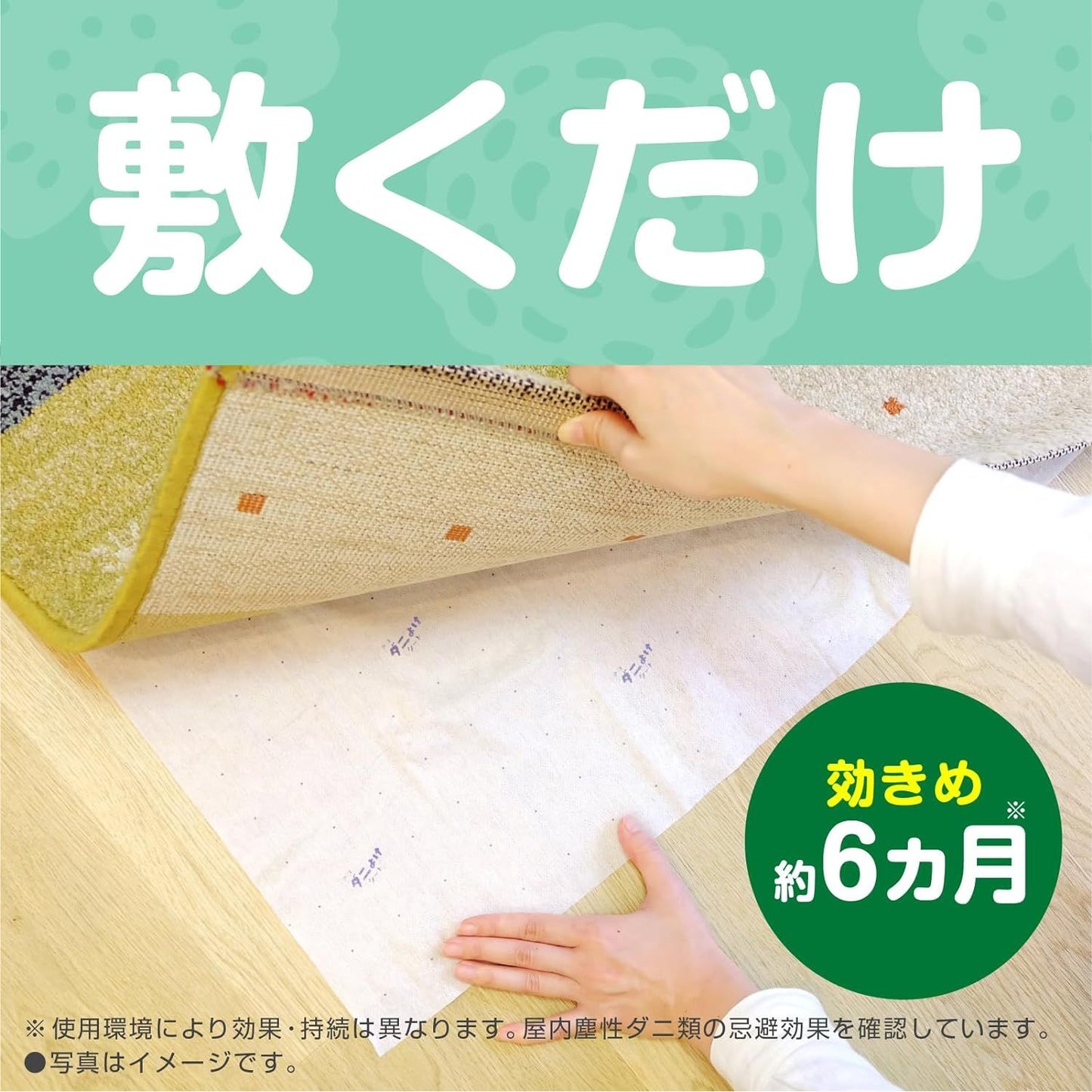 Earth製藥 除蟎貼片 有效除蟎6個月