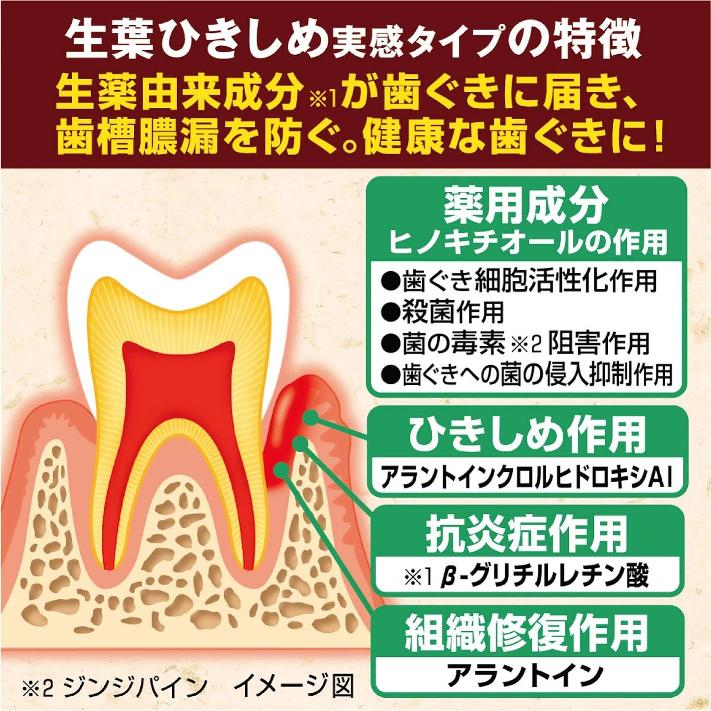 小林製藥 藥用生葉牙膏 預防齒槽膿漏(牙周病)全系列