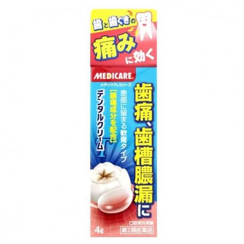森下仁丹 dental歯痛 歯槽膿漏 虫歯 歯根炎 口内炎乳膏 T 4g【第2類藥品】