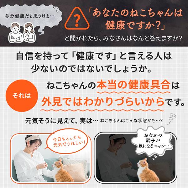 大正 貓用新表飛鳴/欣表飛鳴保健食品 40g