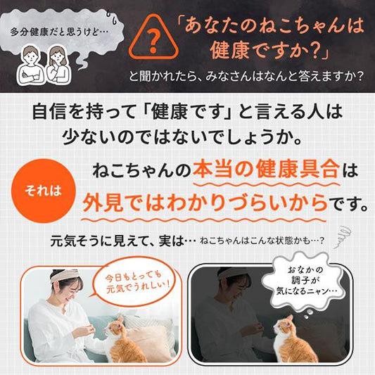 大正 貓用新表飛鳴/欣表飛鳴保健食品 40g