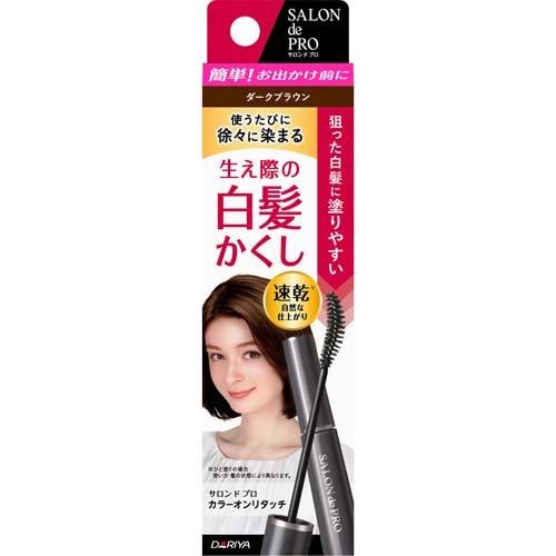 SALON de PRO 染髮專家 隨手補染白髮EX 色全