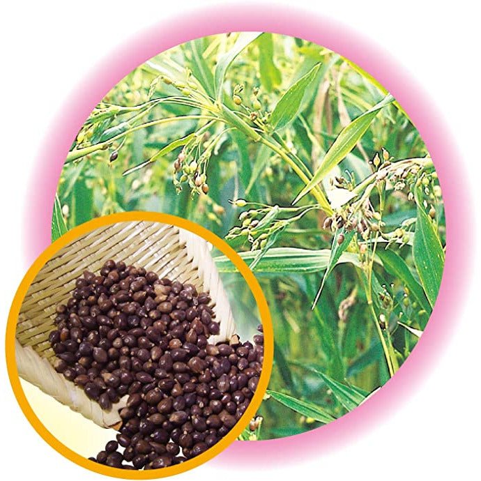 山本漢方 薏仁丸100% 600粒入 - CosmeBear小熊日本藥妝For台灣