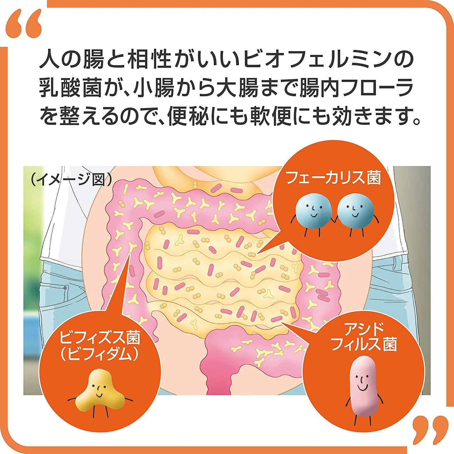 大正製藥 欣表飛鳴S錠 乳酸整腸劑 - CosmeBear小熊日本藥妝For台灣