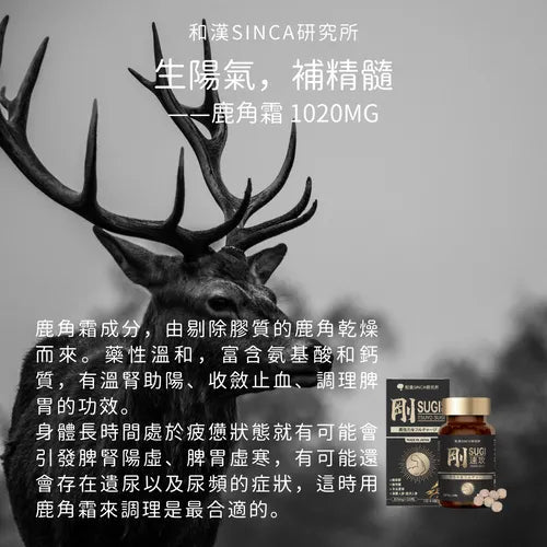 和漢SINCA 剛SUGI速攻 30日分 滋養補品/疲勞恢復/衰老護理/免疫力支持 - CosmeBear小熊日本藥妝For台灣