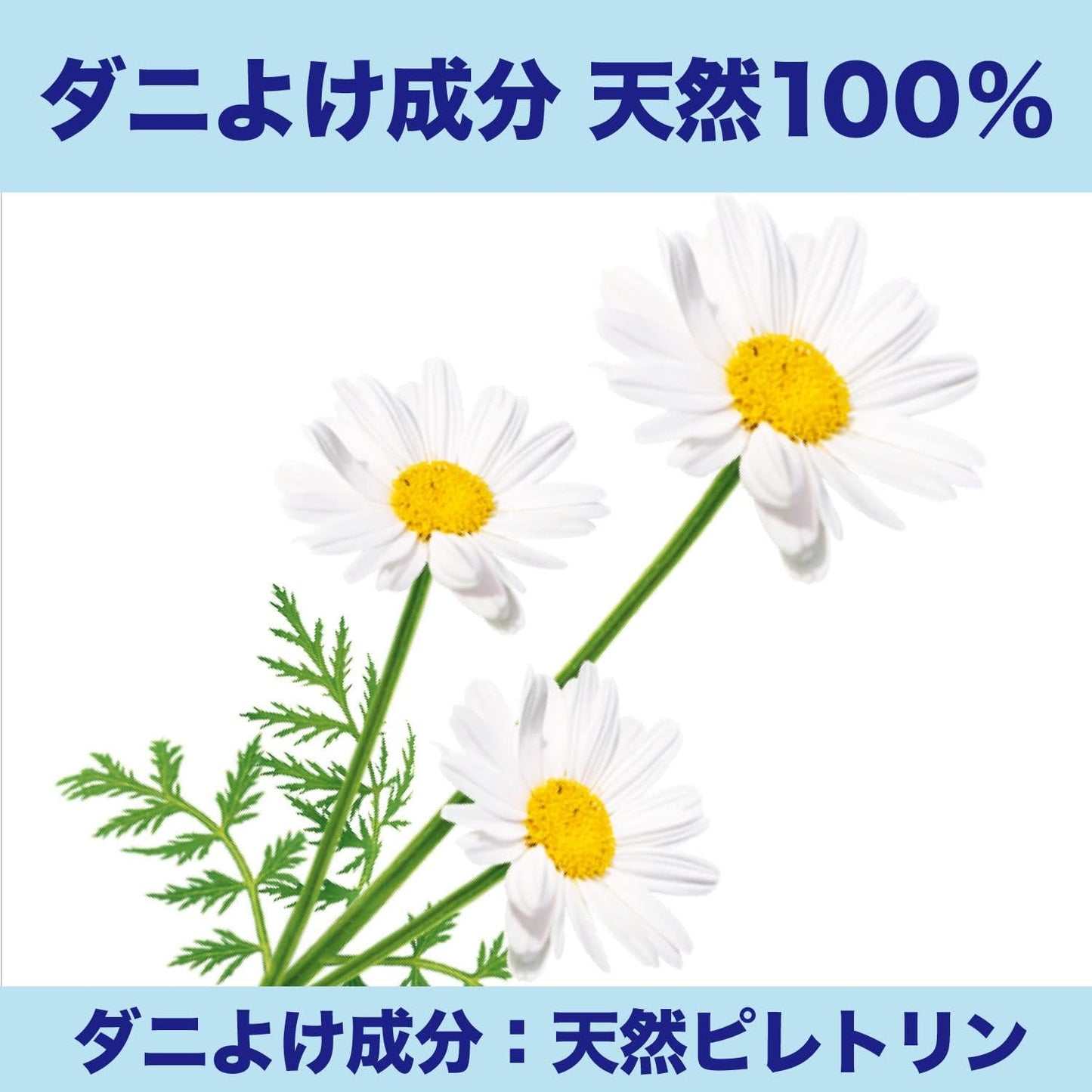 S.T.日化 穆舒達除蹣貼片大號 120×90cm 2枚入 不使用合成殺虫成分 有效持續6個月 - 小熊藥妝 - 日本藥妝直送台灣