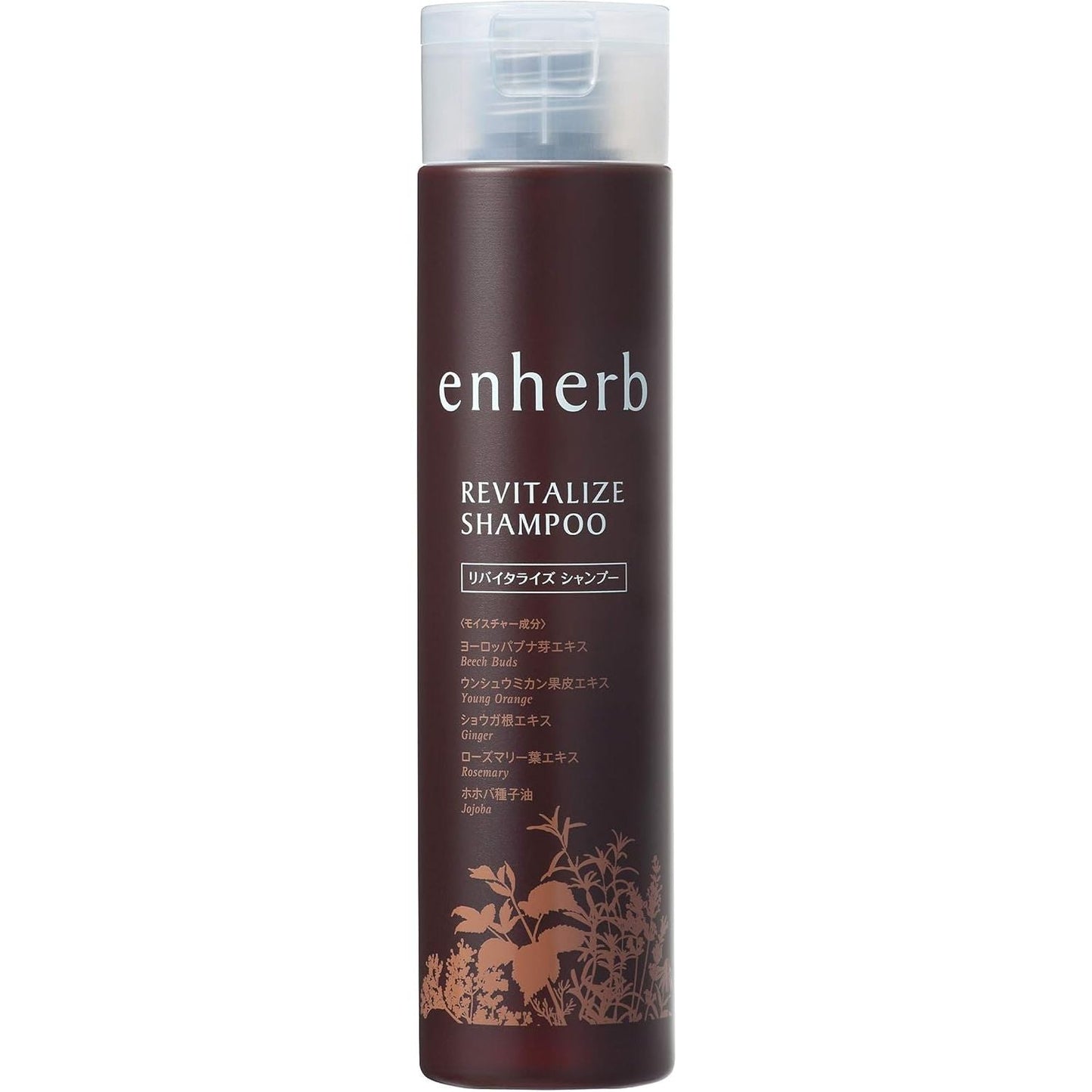 Suntory三得利 enherb 活力草本精華育發洗髮水/護髮素 250mL/約45日分 - 小熊藥妝 - 日本藥妝直送台灣