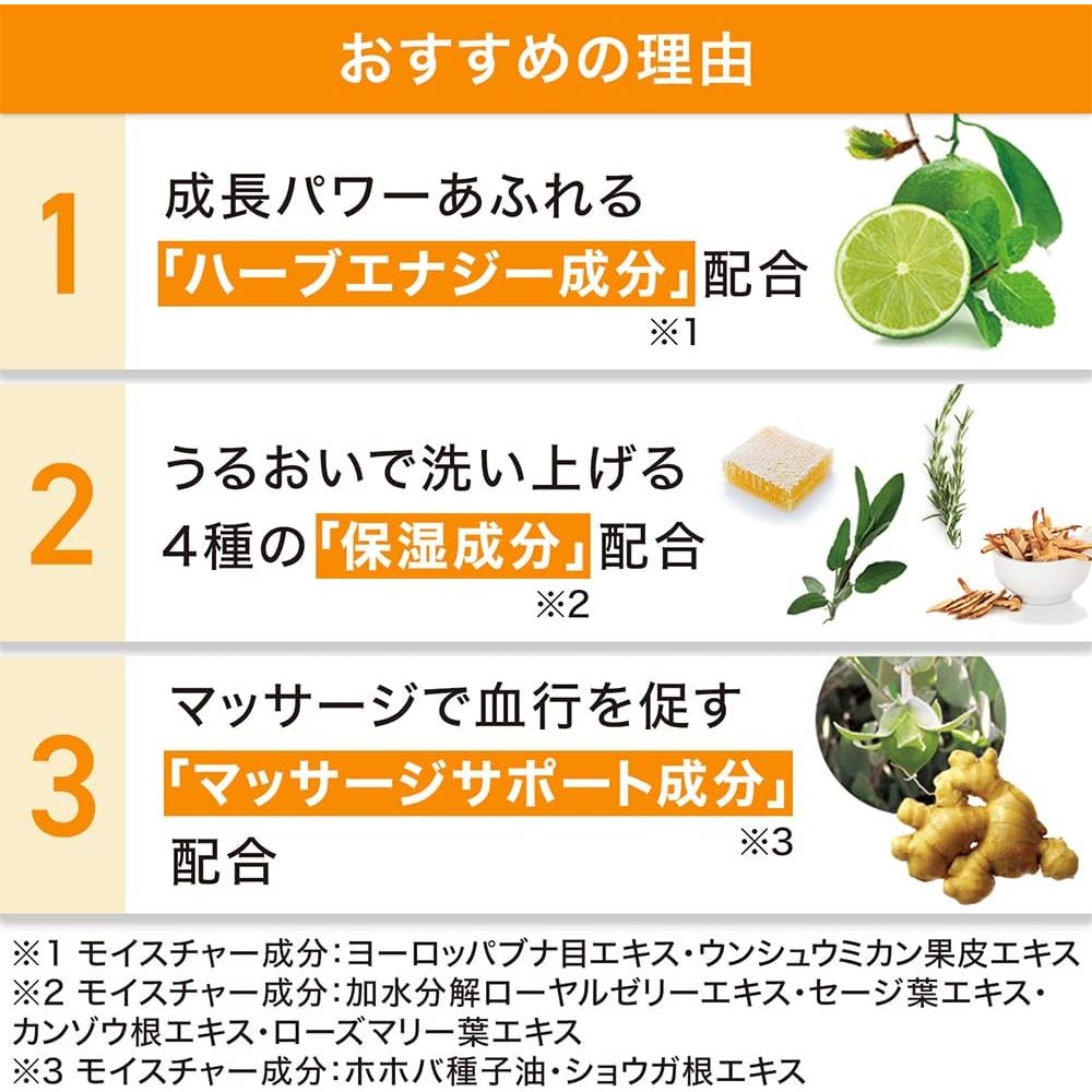 Suntory三得利 enherb 活力草本精華育發洗髮水/護髮素 250mL/約45日分 - 小熊藥妝 - 日本藥妝直送台灣