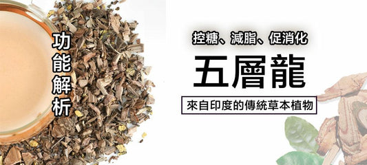 五層龍這麼火？控糖、減脂、促消化的全能植物！