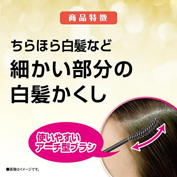 SALON de PRO 染髮專家 隨手補染白髮EX 色全