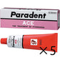 獅王LION Paradent Ace 歯槽膿漏薬（牙周病） 口内炎 舌炎藥 40g[第3類医薬品]【已停產】