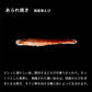 桂新堂 炙燒烤蝦蝦餅禮盒 11袋入