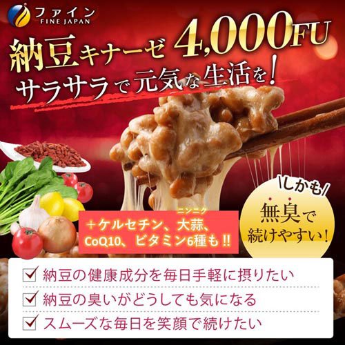 FINE 納豆激酶4000FU 30日分240粒入