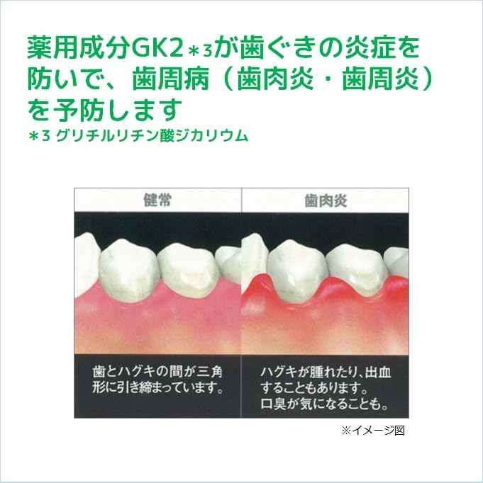 三詩達Sunstar GUM Dental Paste 牙周護理牙膏