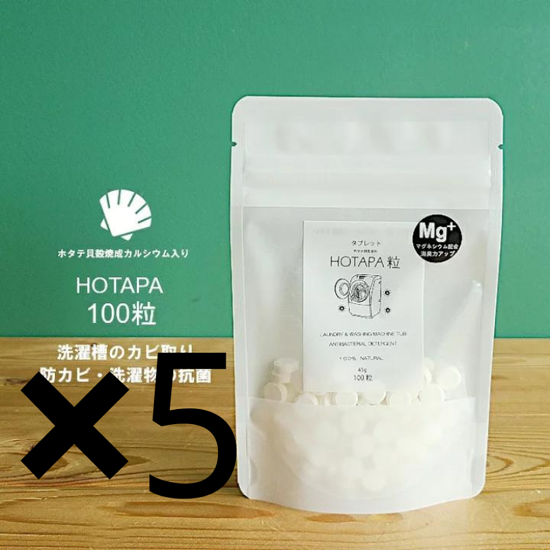 日本抗菌総合研究所 HOTAPA 天然洗衣槽清潔錠 100粒 45g 熊友推薦 效果顯著