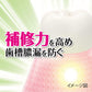 小林製藥 藥用生葉牙膏 預防齒槽膿漏（牙周病）全系列