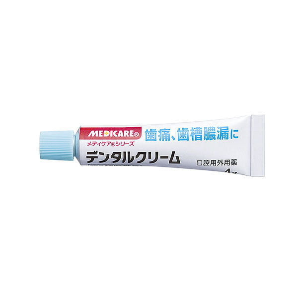 森下仁丹 dental歯痛 歯槽膿漏 虫歯 歯根炎 口内炎乳膏  T 4g【第2類藥品】