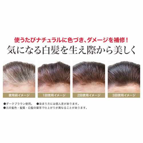 DHC 頂級Q10持色護髮染髮膏 (150g)