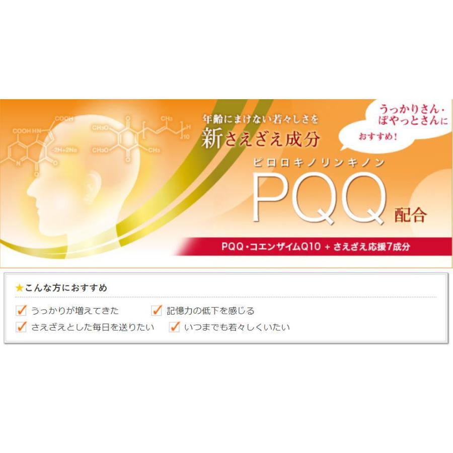 DHC PQQ＋Q10 30日分 健腦