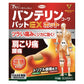 興和製藥 萬特力 EX鎮痛貼 S鎮痛貼[第2類医薬品]