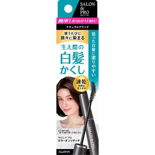 SALON de PRO 染髮專家 隨手補染白髮EX 色全