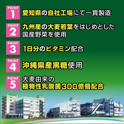 山本漢方 30種類の国産野菜＆超級食品 大麥若葉青汁 ( 3g*64包入 )