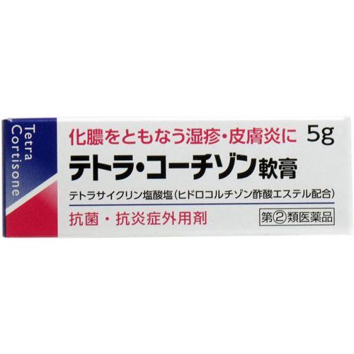 伊丹製藥 Tetra-Cortisone 化膿性濕疹/皮膚炎軟膏 (5g) 【第 2 類醫藥品】