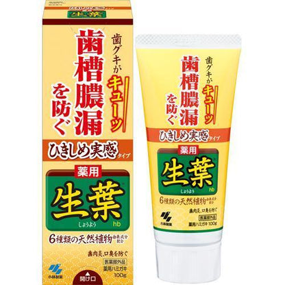 小林製藥 藥用生葉牙膏 預防齒槽膿漏（牙周病）全系列
