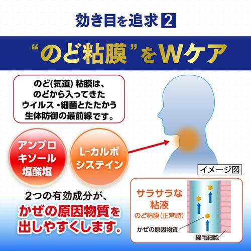 大正製薬 百保能ACE Pro-X錠 36錠入【指定第2類醫藥品】