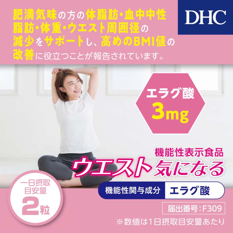 DHC 瘦腰丸 內脂丸 20日量[數量限定特價]