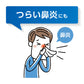 第一三共 抗過敏皮膚瘙癢濕疹錠 鼻炎劑 過敏錠[第2類医薬品]熊友推薦