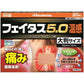 [第2類医薬品] 久光製藥 Feitas 溫感鎮痛貼膏藥貼5.0 大號20片入 10cm*14cm - CosmeBear小熊日本藥妝For台灣