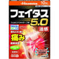 [第2類医薬品] 久光製藥 Feitas 溫感鎮痛貼膏藥貼5.0 - CosmeBear小熊日本藥妝For台灣