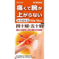 [第2類医薬品] Kracie製藥 独活葛根湯片劑 16日量192錠 針對四十肩/五十肩/肩膀酸痛 - CosmeBear小熊日本藥妝For台灣