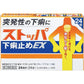 [第2類医薬品] 獅王Lion Stopa EX 止瀉藥 24粒 - CosmeBear小熊日本藥妝For台灣
