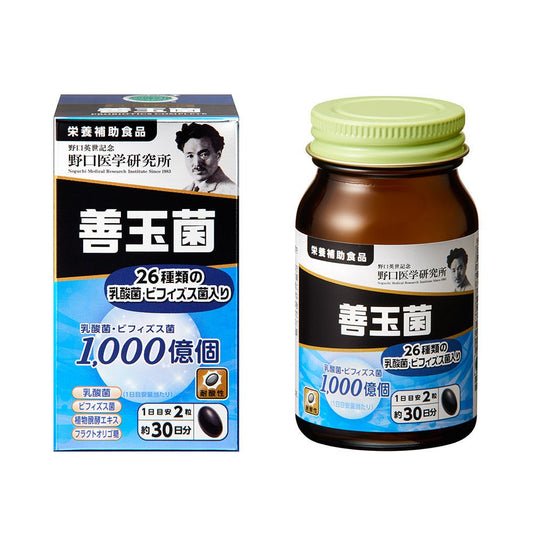 2022新款 野口醫學研究所 乳酸菌益生菌善玉菌 30日量 - CosmeBear小熊日本藥妝For台灣