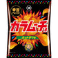 湖池屋 香辣薯片 55g - CosmeBear小熊日本藥妝For台灣
