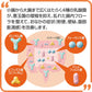 大正製薬 新表飛鳴S Plus錠 整腸剤 [乳酸菌/比菲德氏菌] - 小熊藥妝 - 日本藥妝直送台灣